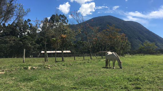 Rancho Anibal Ruffner