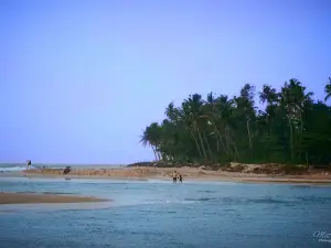 Andhakaranazhi Beach