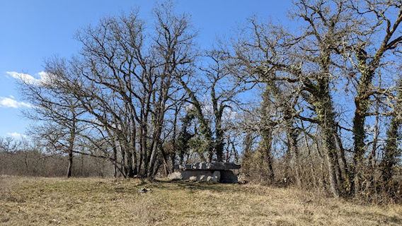 Dolmen dit la Table de Roux