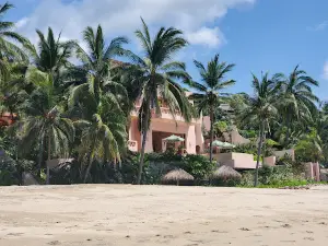 Campamento Tortuguero Sayulita