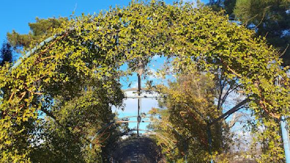 Rustavi Central Park