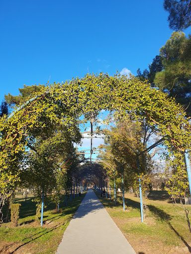 Rustavi Central Park