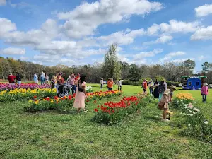 Fields of Grace Flower Farm