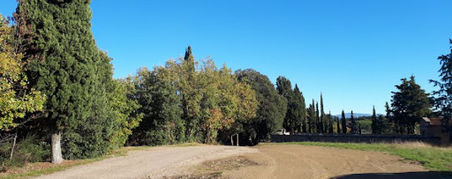 Chiesa di Santa Maria Assunta