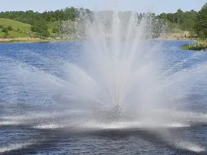 Juodpelkio Park