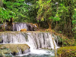 Wisata Lasa