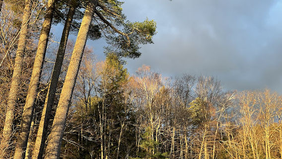 Leavitt Park/Beach Meredith Residents only