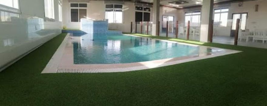 Paradais farm ( مزرعة برادايس )