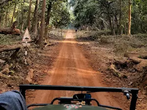 Shalukapu FRH Dudhwa Tiger Reserve