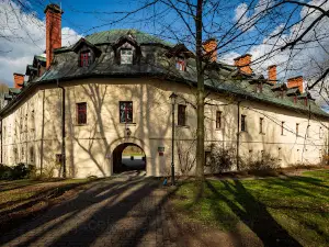 Zamek w Kończycach Małych na Bagnie