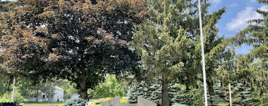 Veterans Park