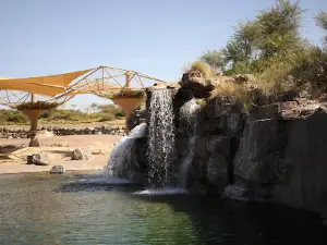 Sharjah Safari