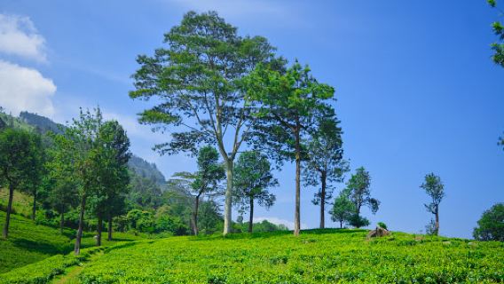 Kabaragala Peak