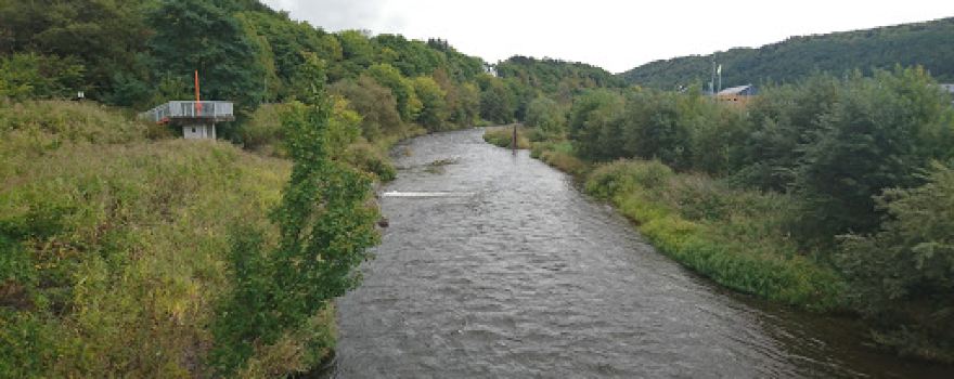 Tokoro River
