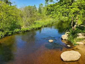 Newtons Woods/Russ Forest County Park