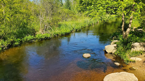 Newtons Woods/Russ Forest County Park