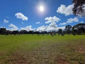 Wilfred Taylor Reserve