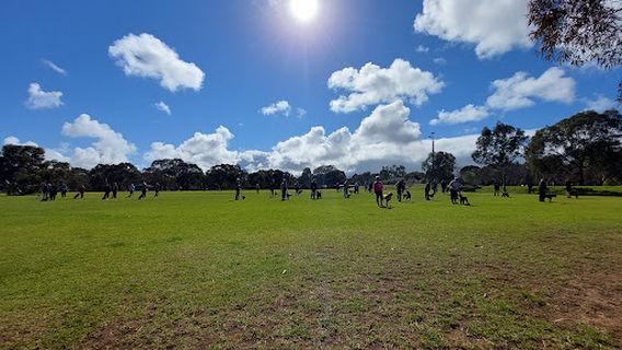 Wilfred Taylor Reserve