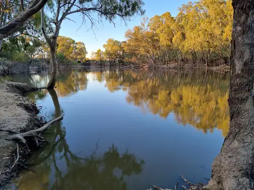 Bushy Bend Reserve