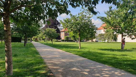 Finsterwalde