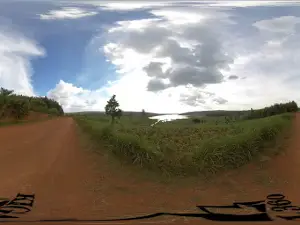 Kibungo, ngoma