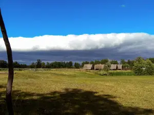 Landscape reserve "Bayrakivskyy"