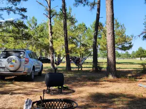 The Fields of New Market Campground