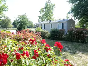 camping de sologne salbris
