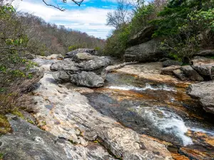 Graveyard Fields Loop Trail