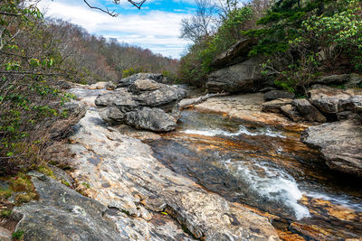 Graveyard Fields Loop Trail