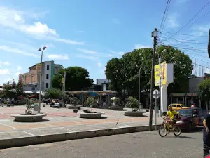 Transportadores Park