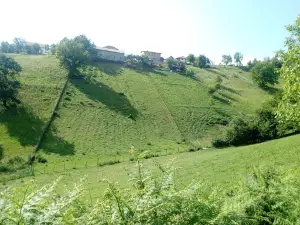 Pećina