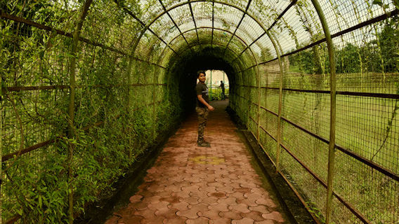 White Tiger Safari, Mukundpur ..
