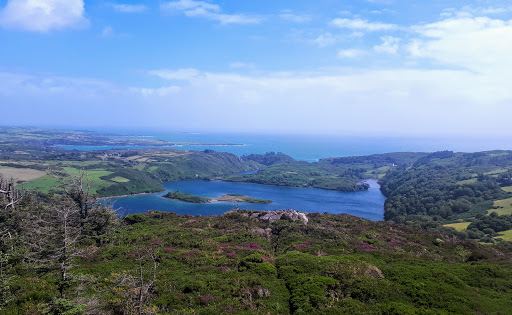 Lough Hyne Nature Reserve