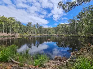 Shannon Dam