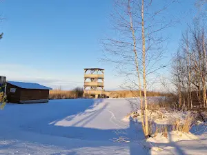 Kolkja Vaatetorn