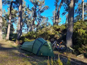 Ben Lomond Campground
