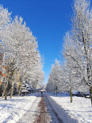 Dainų parkas