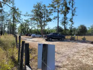 The Nature Conservancy Apalachicola Bluffs and Ravines Preserve (Garden of Eden trail)