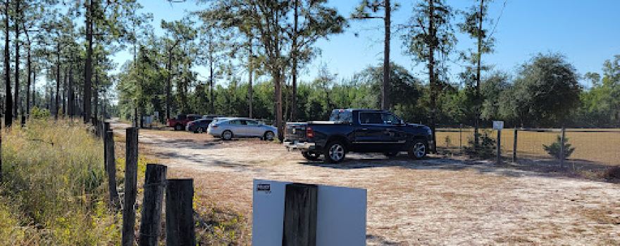 The Nature Conservancy Apalachicola Bluffs and Ravines Preserve (Garden of Eden trail)