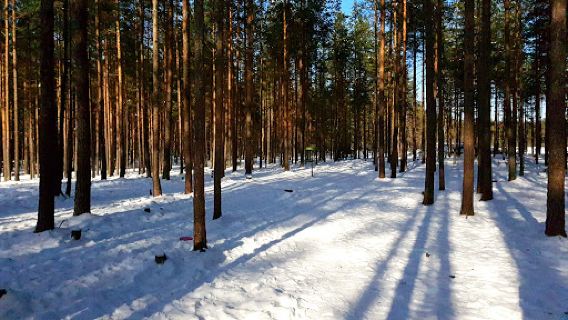 Sahanmäki Disc Golf Park