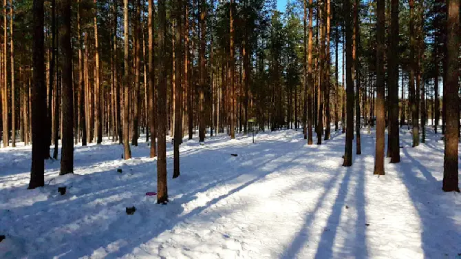 Sahanmäki Disc Golf Park
