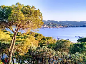 Camping Ville degli Ulivi