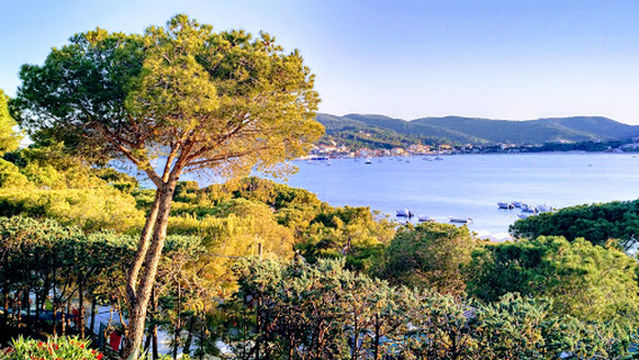 Camping Ville degli Ulivi