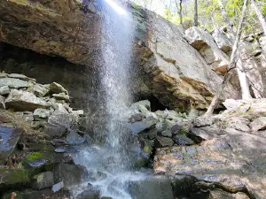 Crockford-Pigeon Mountain Wildlife Management Area