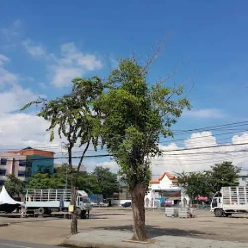 สนามกีฬาจังหวัดพิษณุโลก