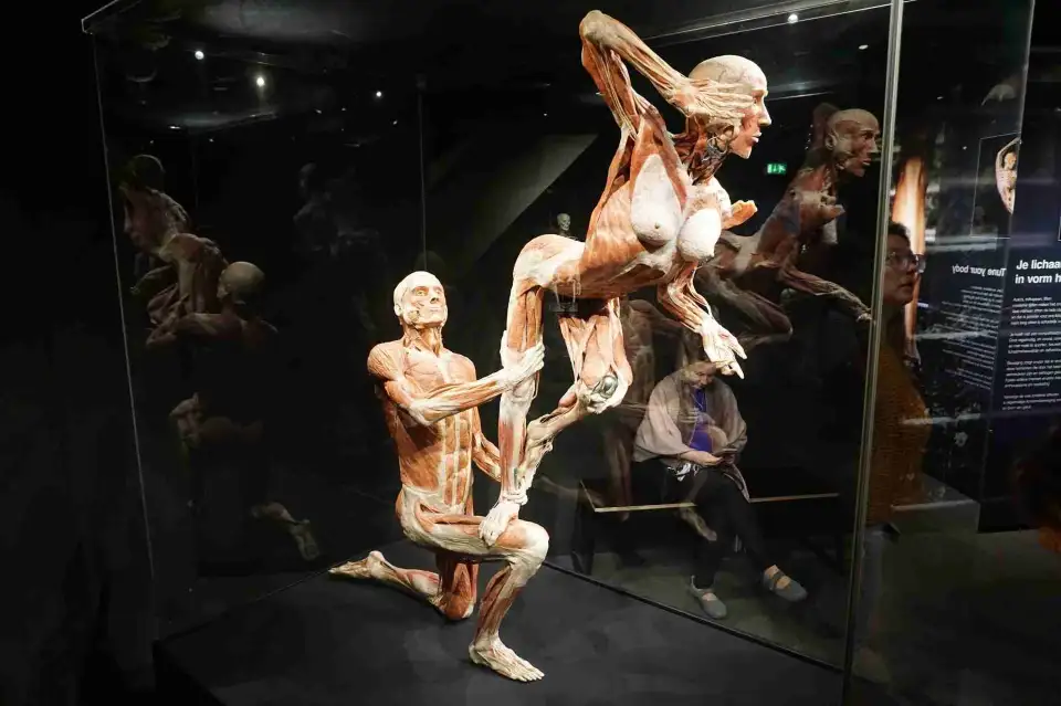 3_BODY WORLDS Amsterdam