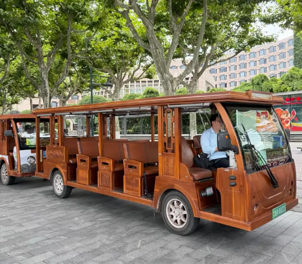 4_West Lake Sightseeing Tourist Car