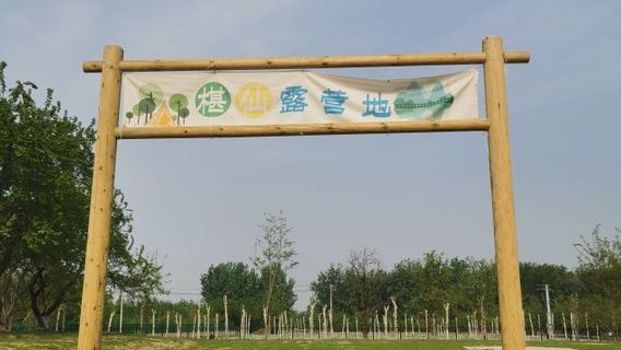 Xiajin