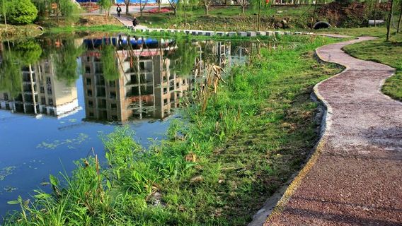 Impression Blue Bay Ecological Sightseeing Garden